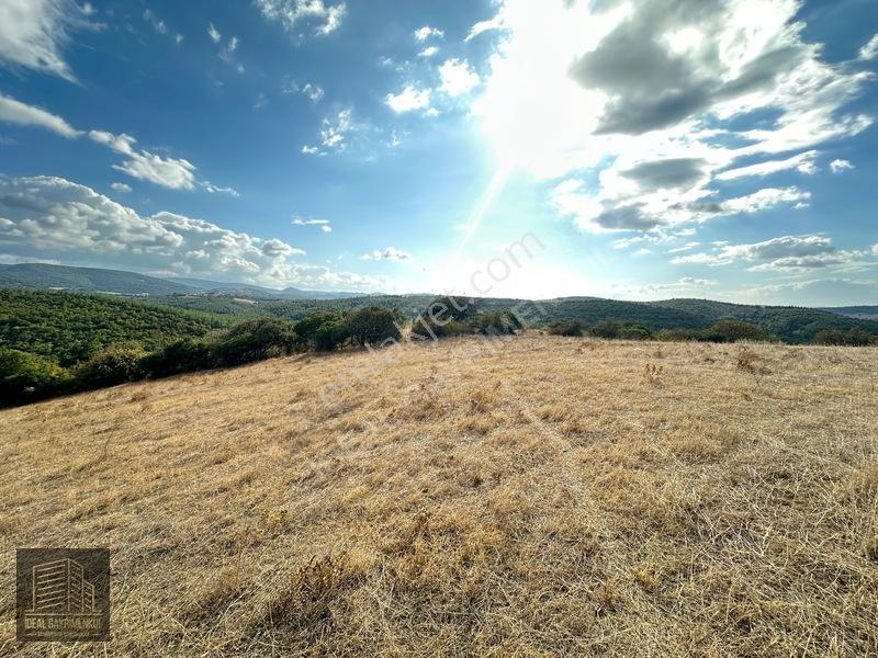 Lapsekide Geleceğe Yatırım: 7.131 M² Müstakil Tapulu Tarla — fotoğraf 4
