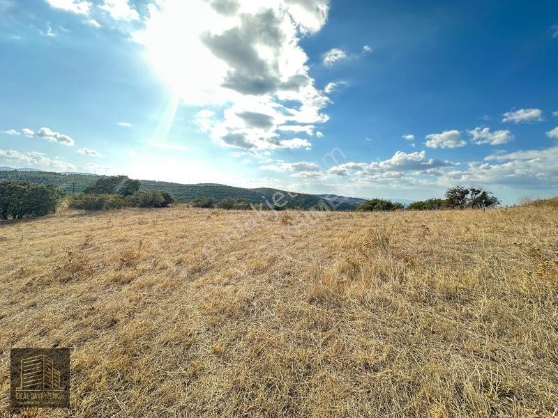 Lapsekide Geleceğe Yatırım: 7.131 M² Müstakil Tapulu Tarla — fotoğraf 5