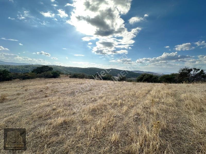 Lapsekide Geleceğe Yatırım: 7.131 M² Müstakil Tapulu Tarla — fotoğraf 6
