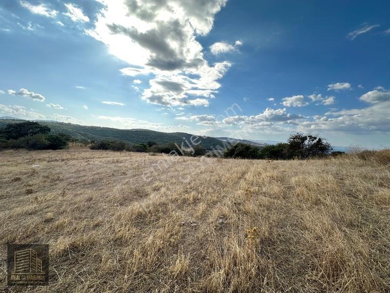 Lapsekide Geleceğe Yatırım: 7.131 M² Müstakil Tapulu Tarla — fotoğraf 7
