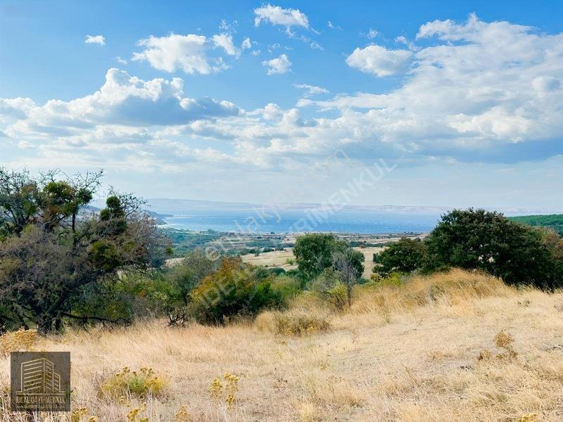 Lapsekide Geleceğe Yatırım: 7.131 M² Müstakil Tapulu Tarla — fotoğraf 11