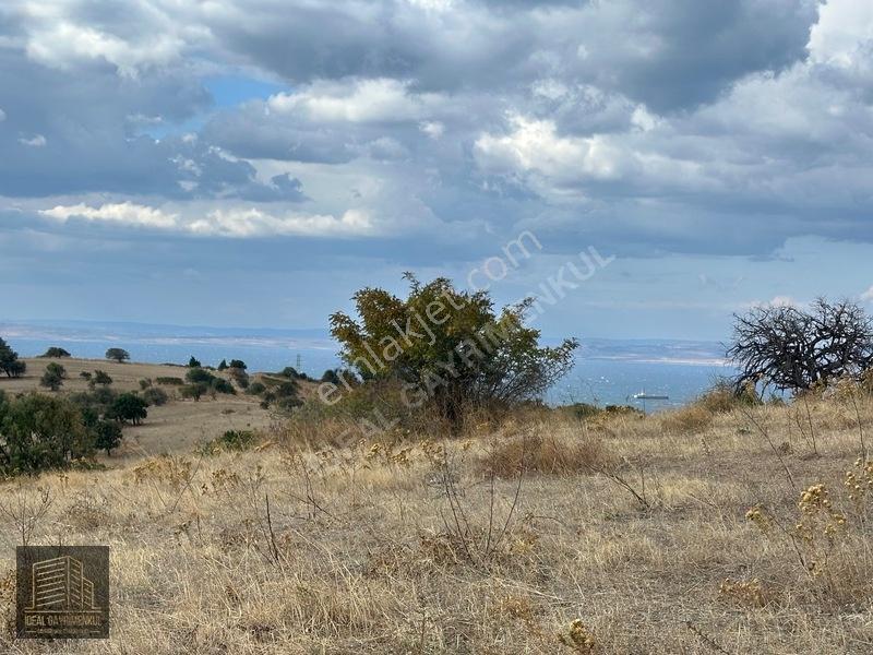Lapsekide Geleceğe Yatırım: 7.131 M² Müstakil Tapulu Tarla — fotoğraf 12