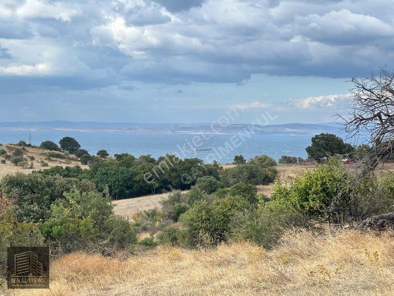 Lapsekide Geleceğe Yatırım: 7.131 M² Müstakil Tapulu Tarla — fotoğraf 13