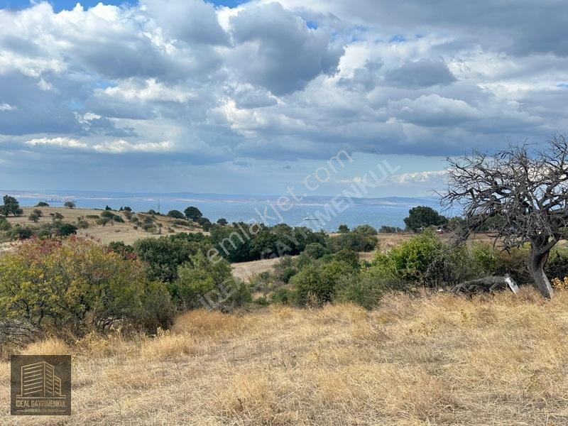 Lapsekide Geleceğe Yatırım: 7.131 M² Müstakil Tapulu Tarla — fotoğraf 14