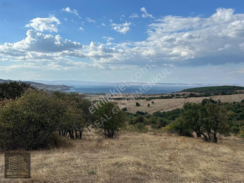 Lapsekide Geleceğe Yatırım: 7.131 M² Müstakil Tapulu Tarla — fotoğraf 15