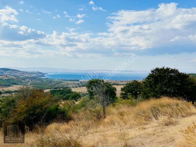 Lapsekide Geleceğe Yatırım: 7.131 M² Müstakil Tapulu Tarla — fotoğraf 16