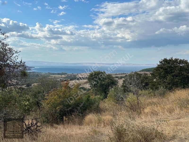 Lapsekide Geleceğe Yatırım: 7.131 M² Müstakil Tapulu Tarla — fotoğraf 17