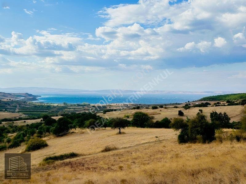 Lapsekide Geleceğe Yatırım: 7.131 M² Müstakil Tapulu Tarla — fotoğraf 18