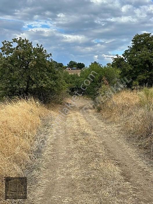 Lapsekide Geleceğe Yatırım: 7.131 M² Müstakil Tapulu Tarla — fotoğraf 22