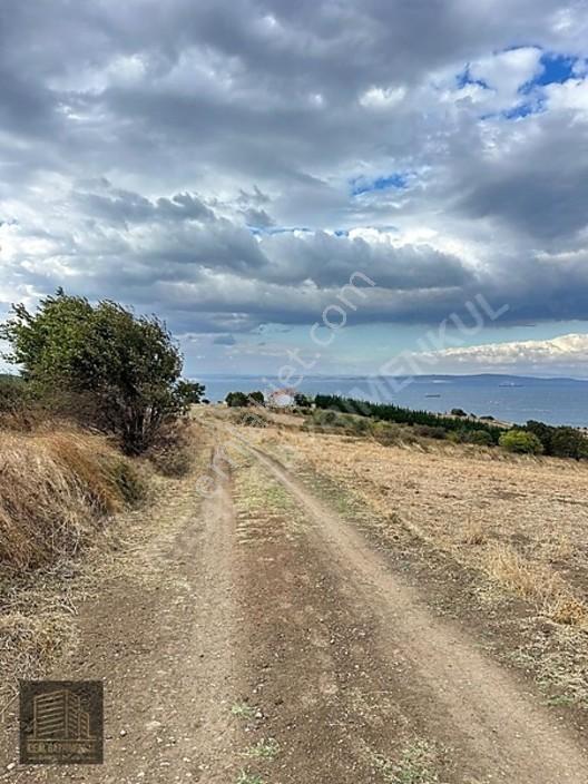 Lapsekide Geleceğe Yatırım: 7.131 M² Müstakil Tapulu Tarla — fotoğraf 23