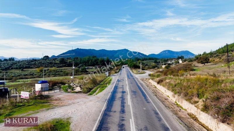 İzmir Menderes Şaşalda 24 Dönüm Tek Müstakil Tapu Kupon Yer — fotoğraf 22