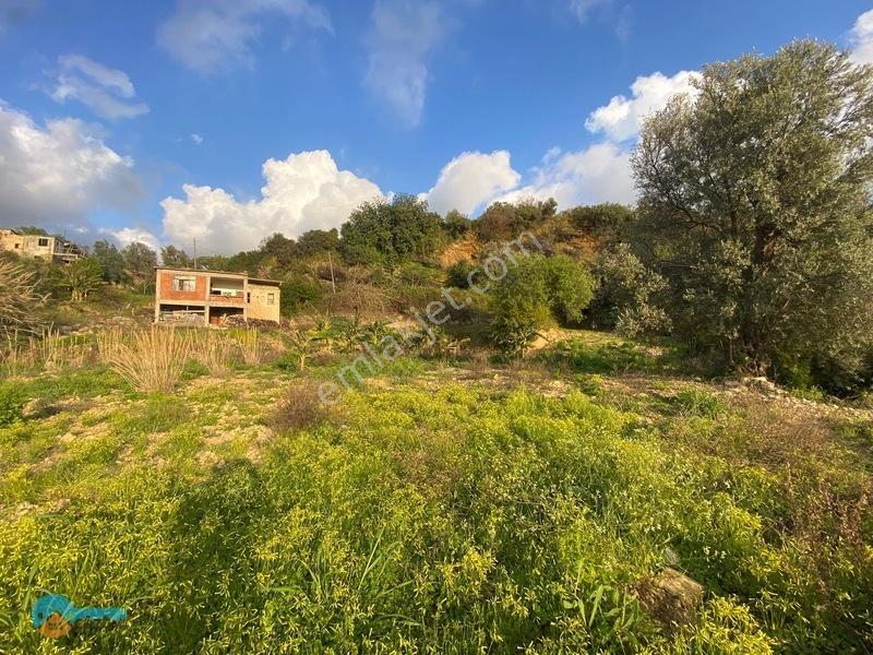 Deniz Manzaralı Kargir Ev Ve Tarla — fotoğraf 2