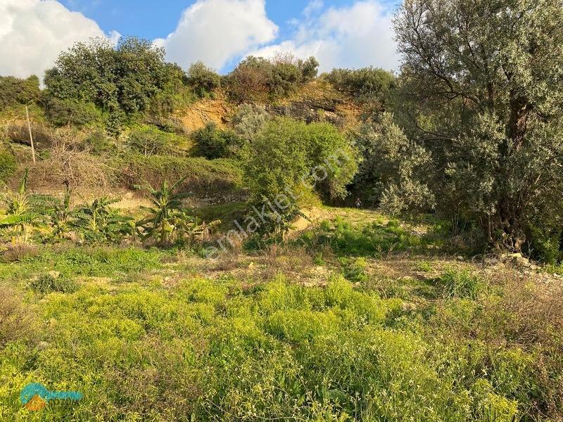 Deniz Manzaralı Kargir Ev Ve Tarla — fotoğraf 4