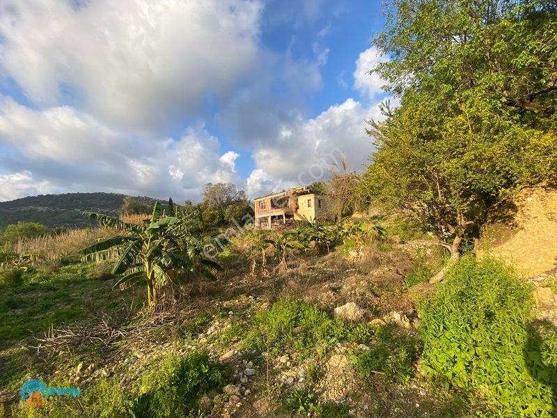 Deniz Manzaralı Kargir Ev Ve Tarla — fotoğraf 6