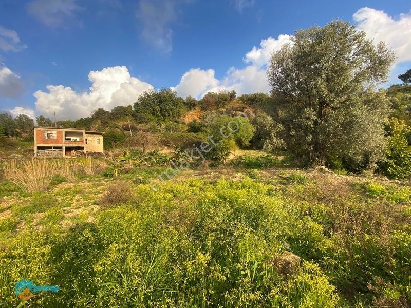 Deniz Manzaralı Kargir Ev Ve Tarla — fotoğraf 8