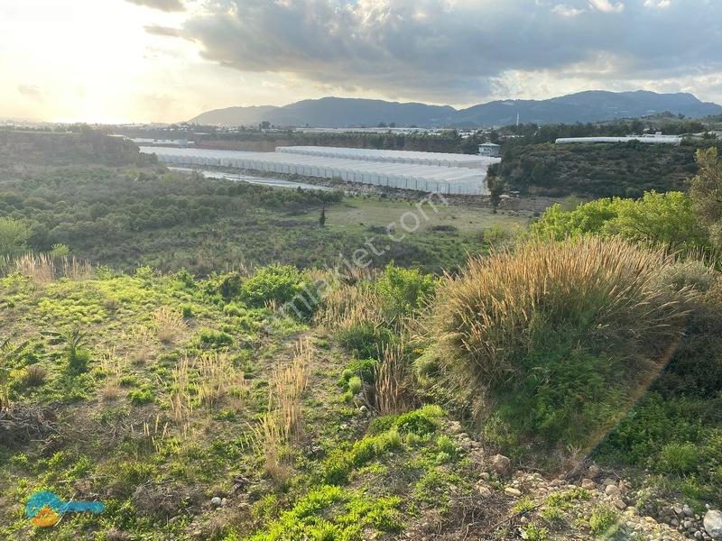 Deniz Manzaralı Kargir Ev Ve Tarla — fotoğraf 9