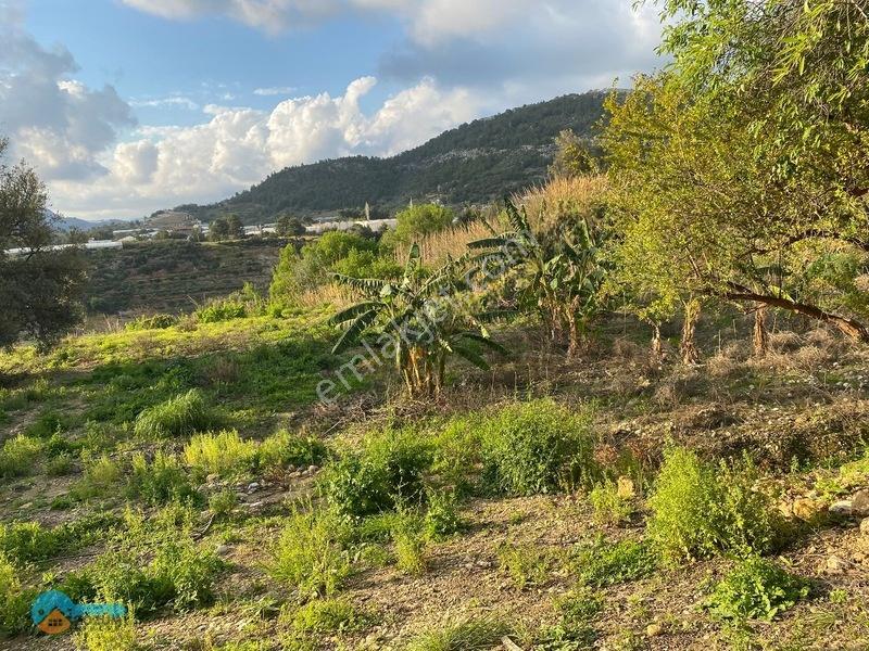 Deniz Manzaralı Kargir Ev Ve Tarla — fotoğraf 13