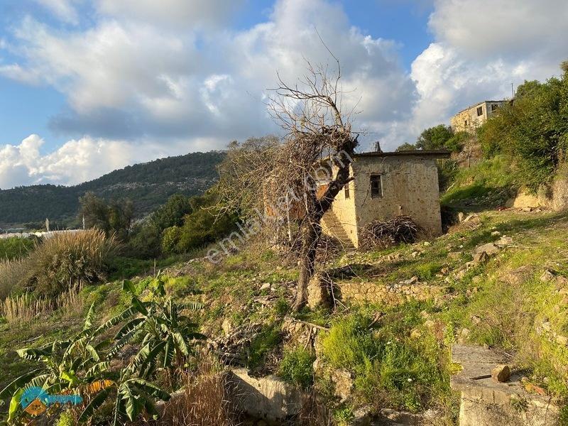 Deniz Manzaralı Kargir Ev Ve Tarla — fotoğraf 14
