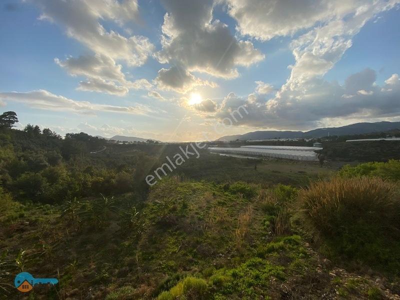 Deniz Manzaralı Kargir Ev Ve Tarla — fotoğraf 15