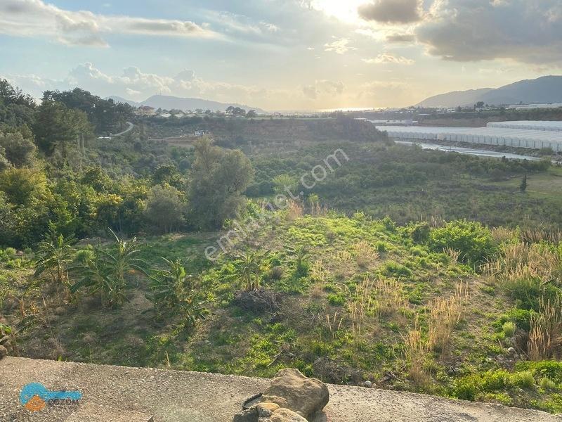 Deniz Manzaralı Kargir Ev Ve Tarla — fotoğraf 16