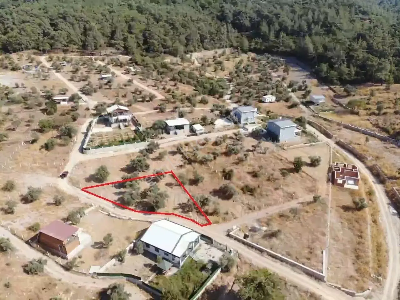 Çakaltepe/elektrik-su Aktif/543 M2-tapudan Satışlı Zeytinl Bahçe — fotoğraf 2