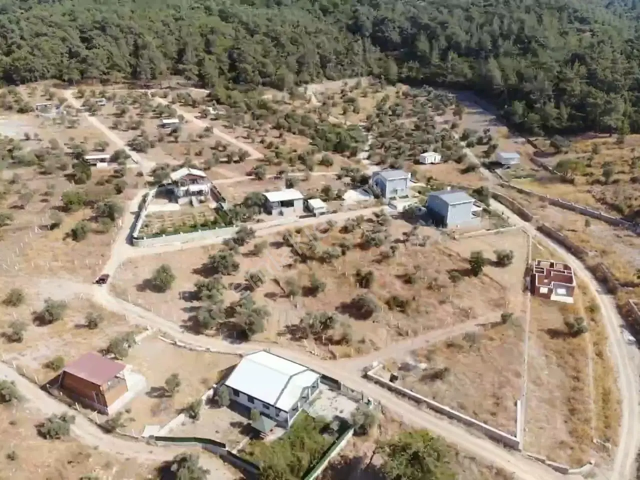 Çakaltepe/elektrik-su Aktif/543 M2-tapudan Satışlı Zeytinl Bahçe — fotoğraf 3