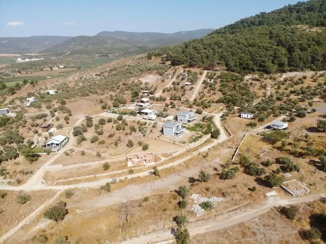 Çakaltepe/elektrik-su Aktif/543 M2-tapudan Satışlı Zeytinl Bahçe — fotoğraf 4