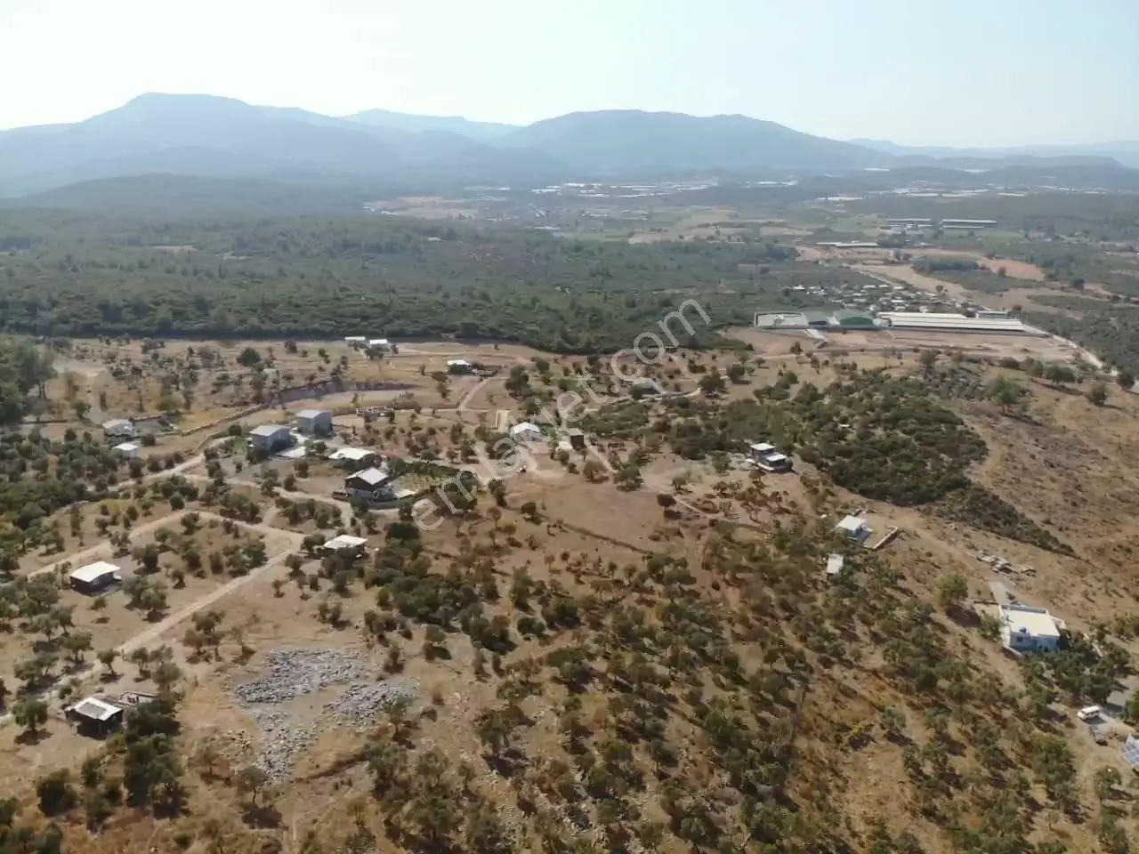Çakaltepe/elektrik-su Aktif/543 M2-tapudan Satışlı Zeytinl Bahçe — fotoğraf 5