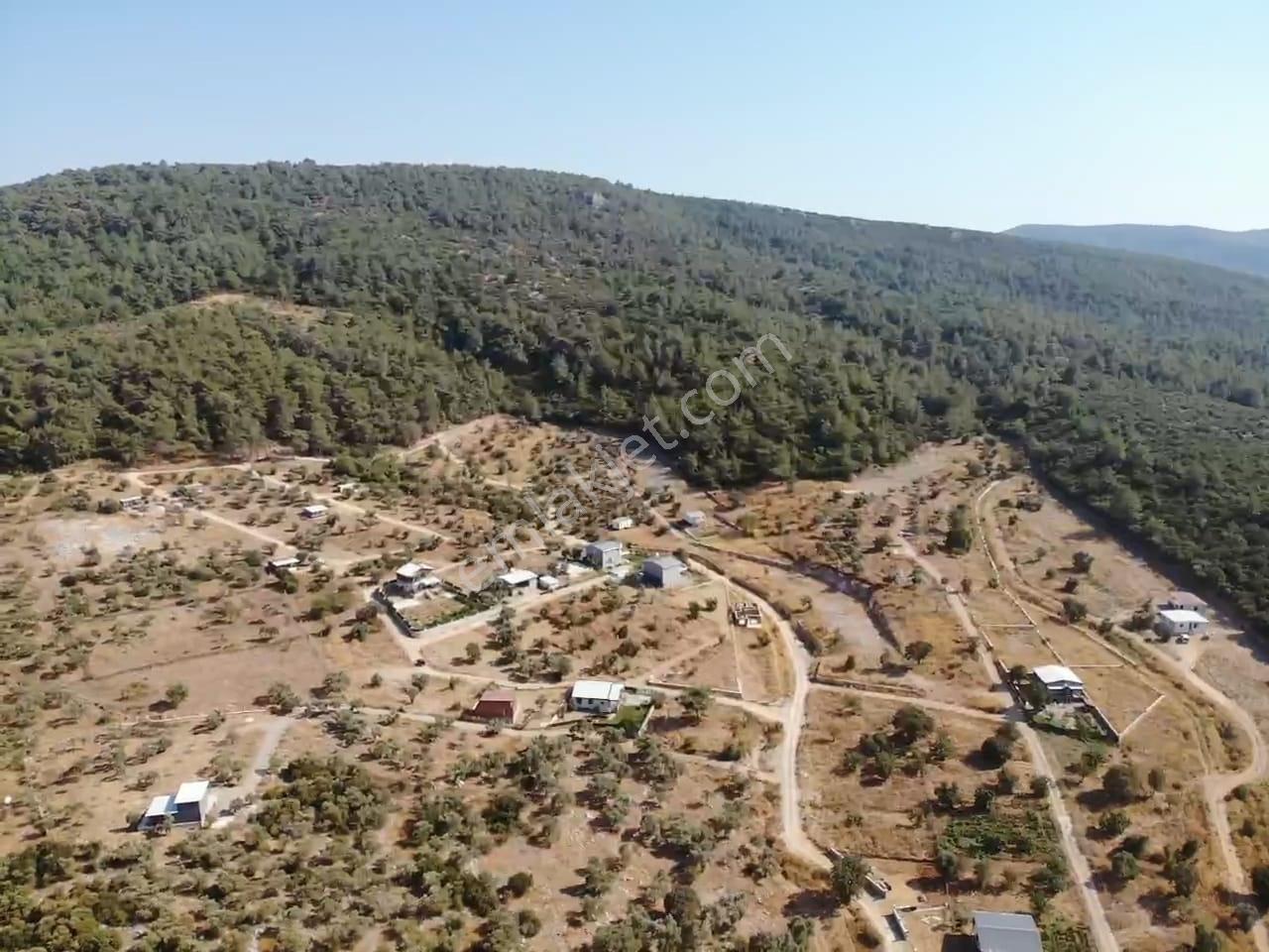 Çakaltepe/elektrik-su Aktif/543 M2-tapudan Satışlı Zeytinl Bahçe — fotoğraf 10