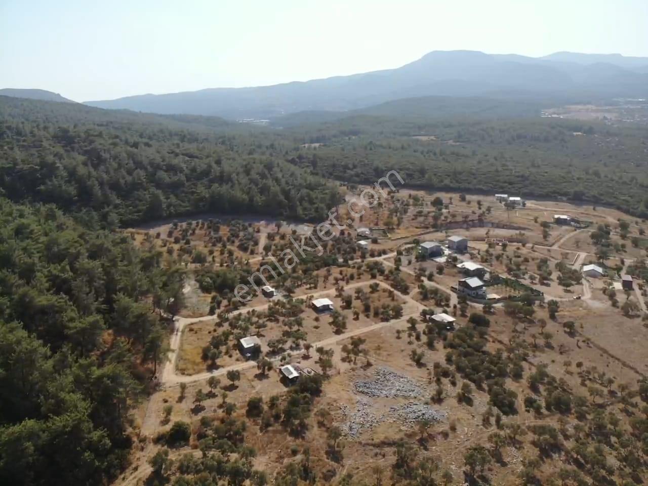 Çakaltepe/elektrik-su Aktif/543 M2-tapudan Satışlı Zeytinl Bahçe — fotoğraf 11
