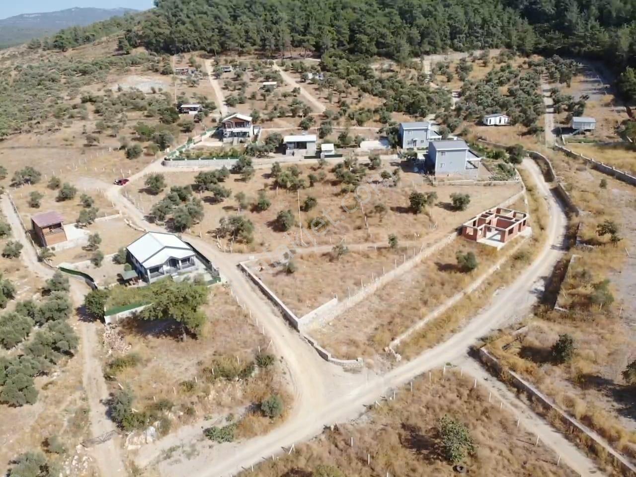 Çakaltepe/elektrik-su Aktif/543 M2-tapudan Satışlı Zeytinl Bahçe — fotoğraf 24