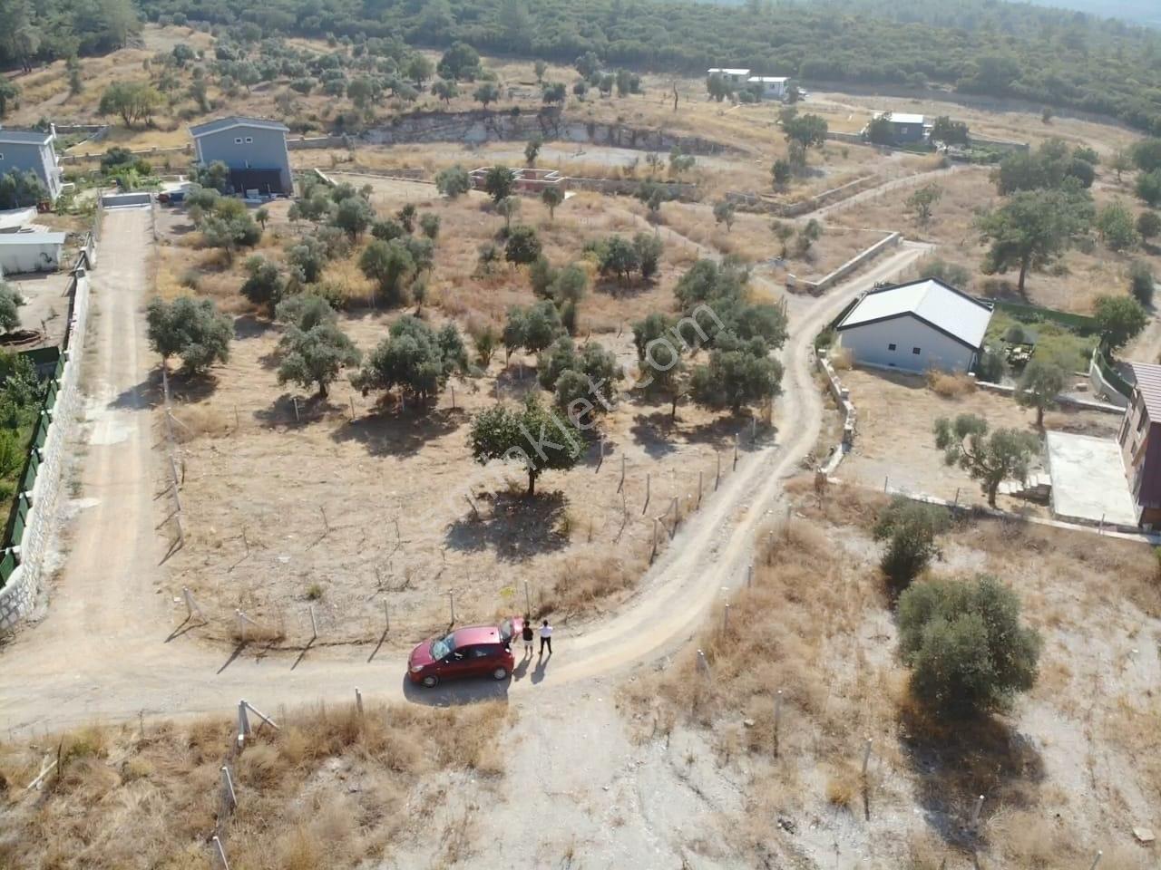 Çakaltepe/elektrik-su Aktif/543 M2-tapudan Satışlı Zeytinl Bahçe — fotoğraf 25