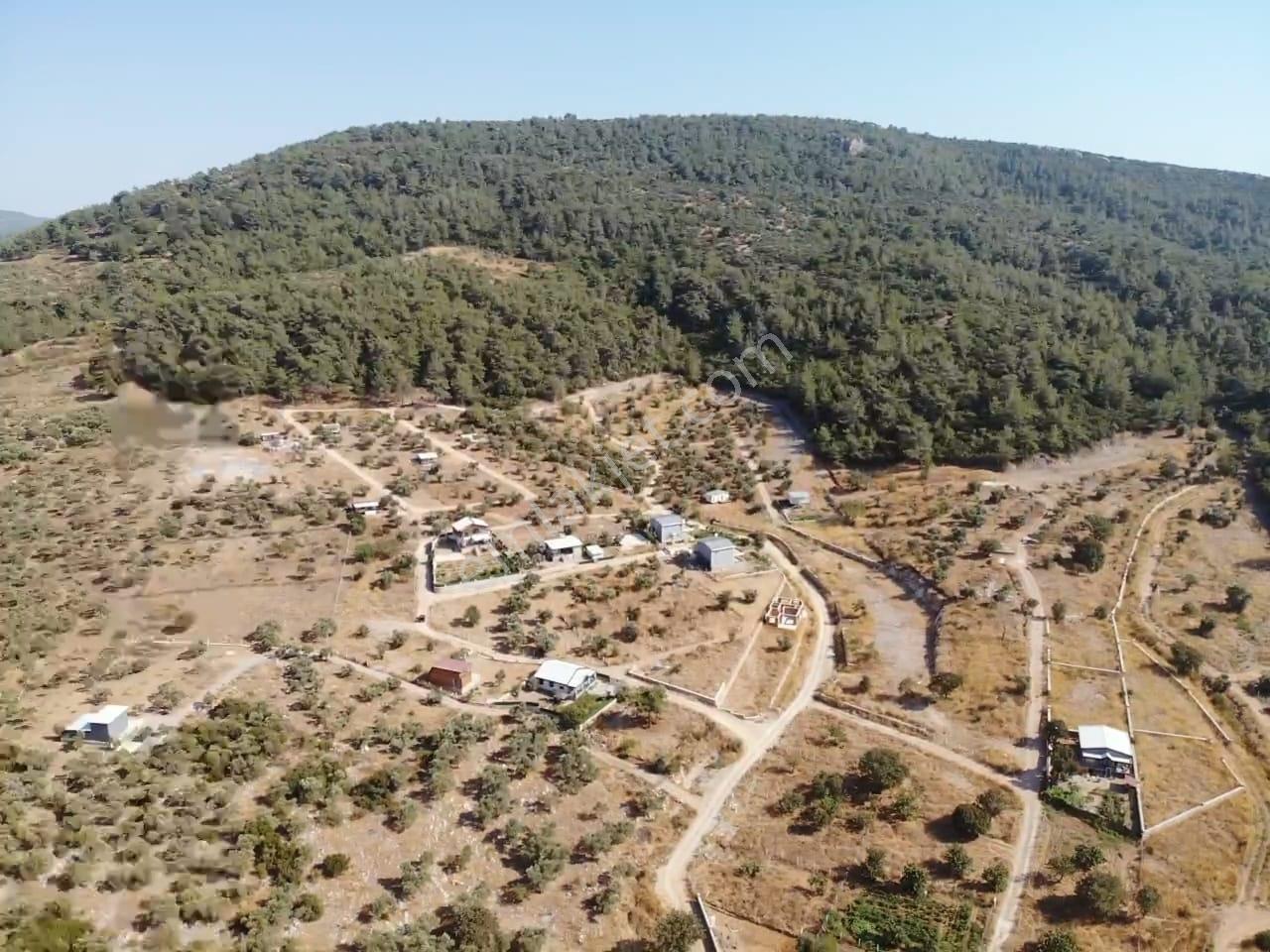 Çakaltepe/elektrik-su Aktif/543 M2-tapudan Satışlı Zeytinl Bahçe — fotoğraf 26
