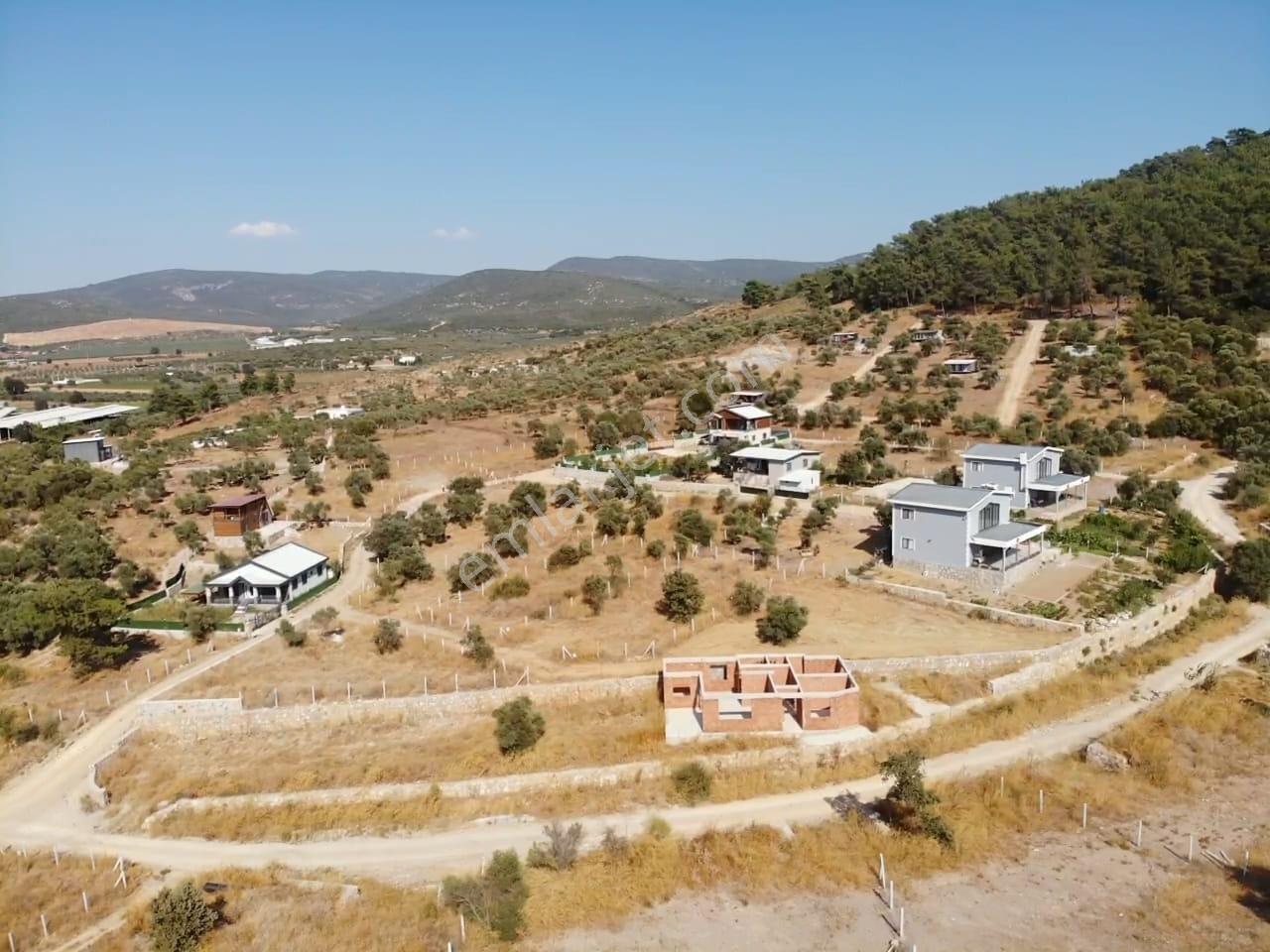 Çakaltepe/elektrik-su Aktif/543 M2-tapudan Satışlı Zeytinl Bahçe — fotoğraf 27