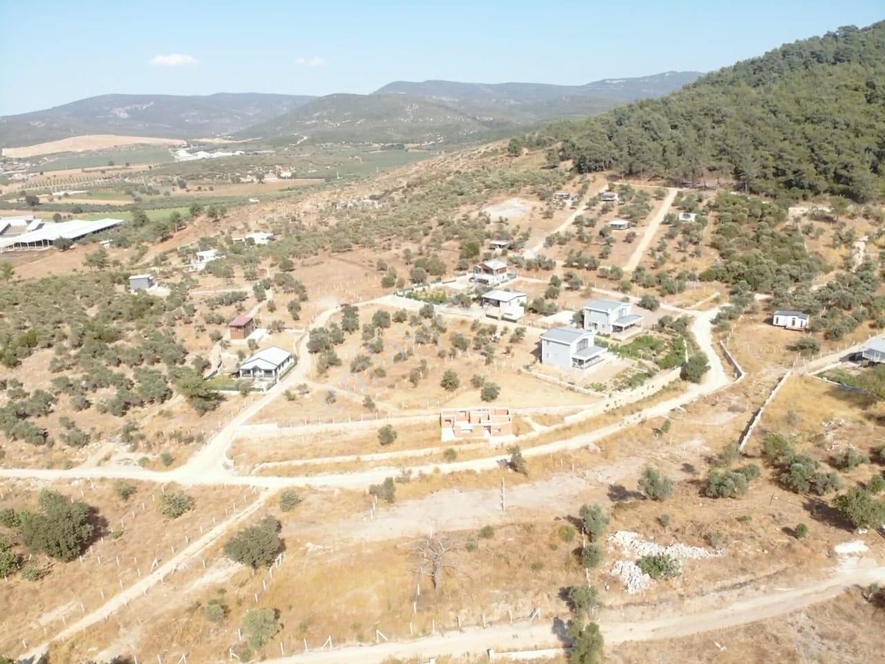 Çakaltepe/elektrik-su Aktif/543 M2-tapudan Satışlı Zeytinl Bahçe — fotoğraf 28
