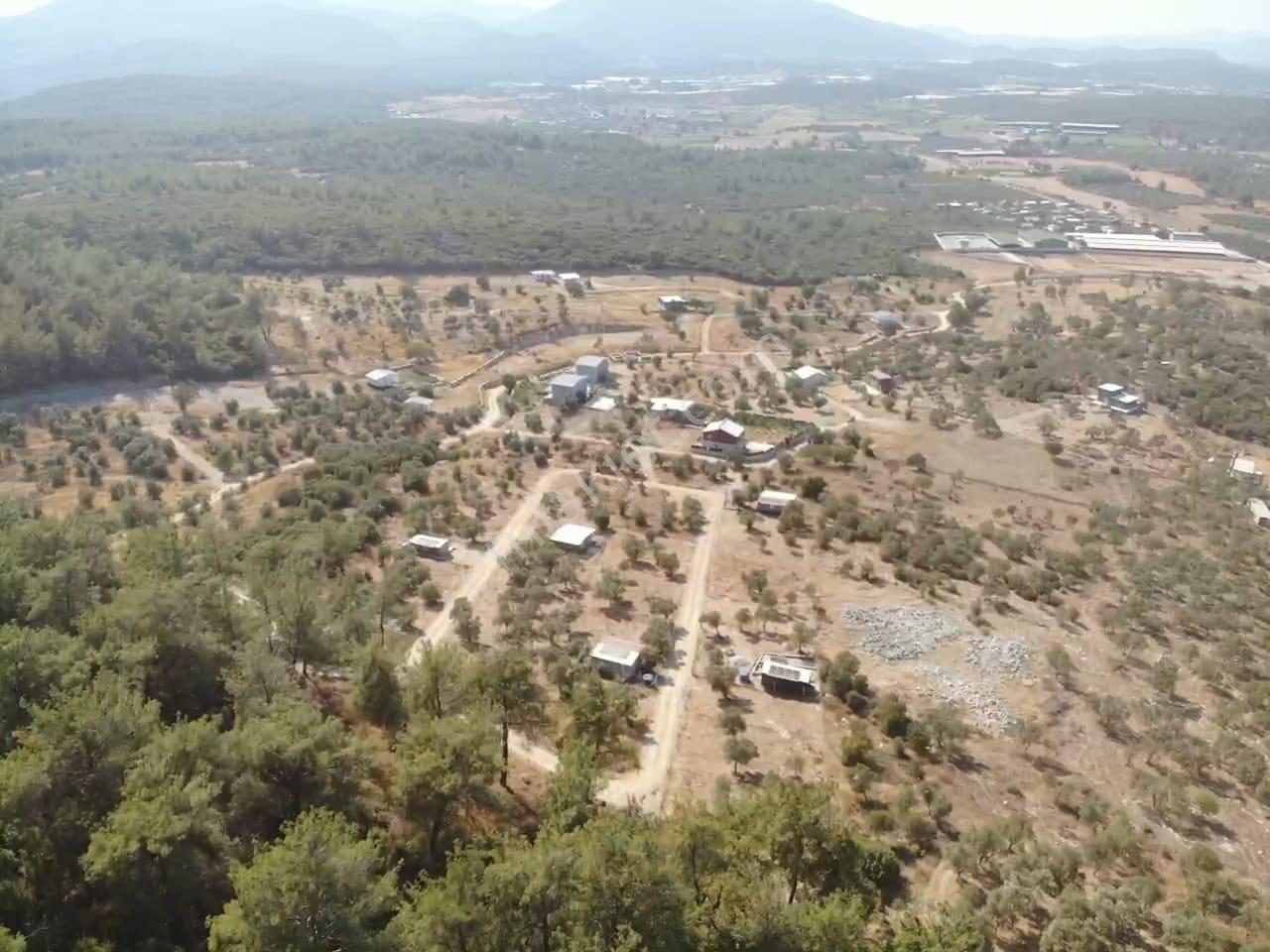 Çakaltepe/elektrik-su Aktif/543 M2-tapudan Satışlı Zeytinl Bahçe — fotoğraf 29