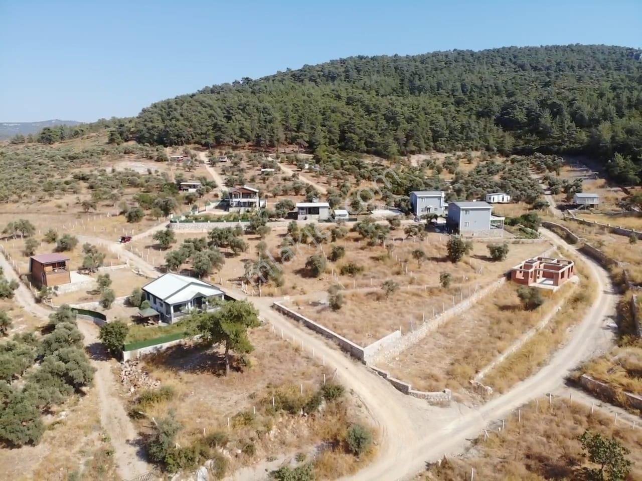 Çakaltepe/elektrik-su Aktif/543 M2-tapudan Satışlı Zeytinl Bahçe — fotoğraf 31