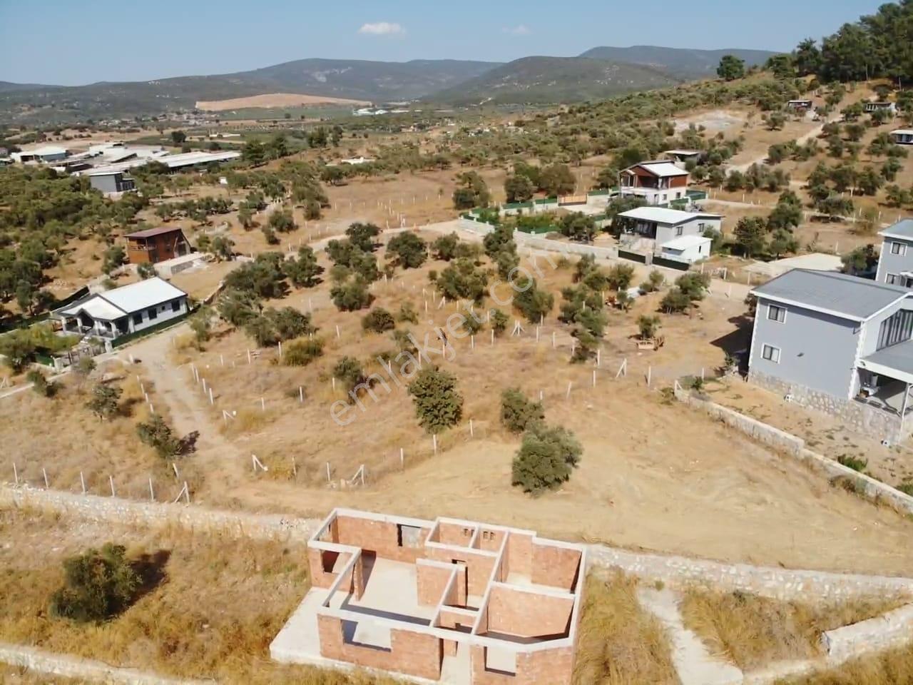 Çakaltepe/elektrik-su Aktif/543 M2-tapudan Satışlı Zeytinl Bahçe — fotoğraf 32