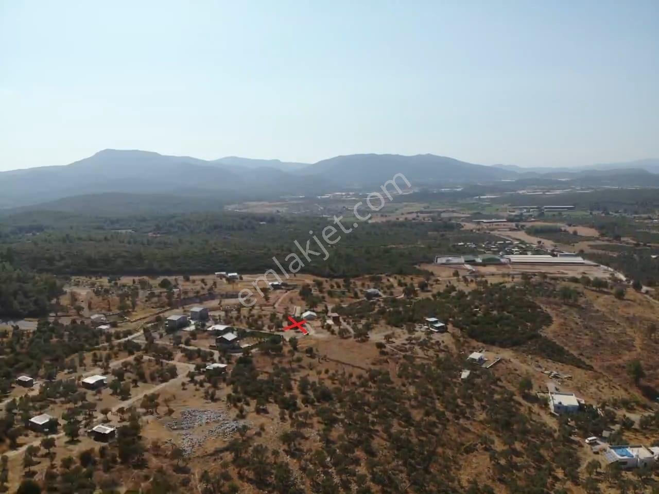 Çakaltepe/elektrik-su Aktif/543 M2-tapudan Satışlı Zeytinl Bahçe — fotoğraf 33