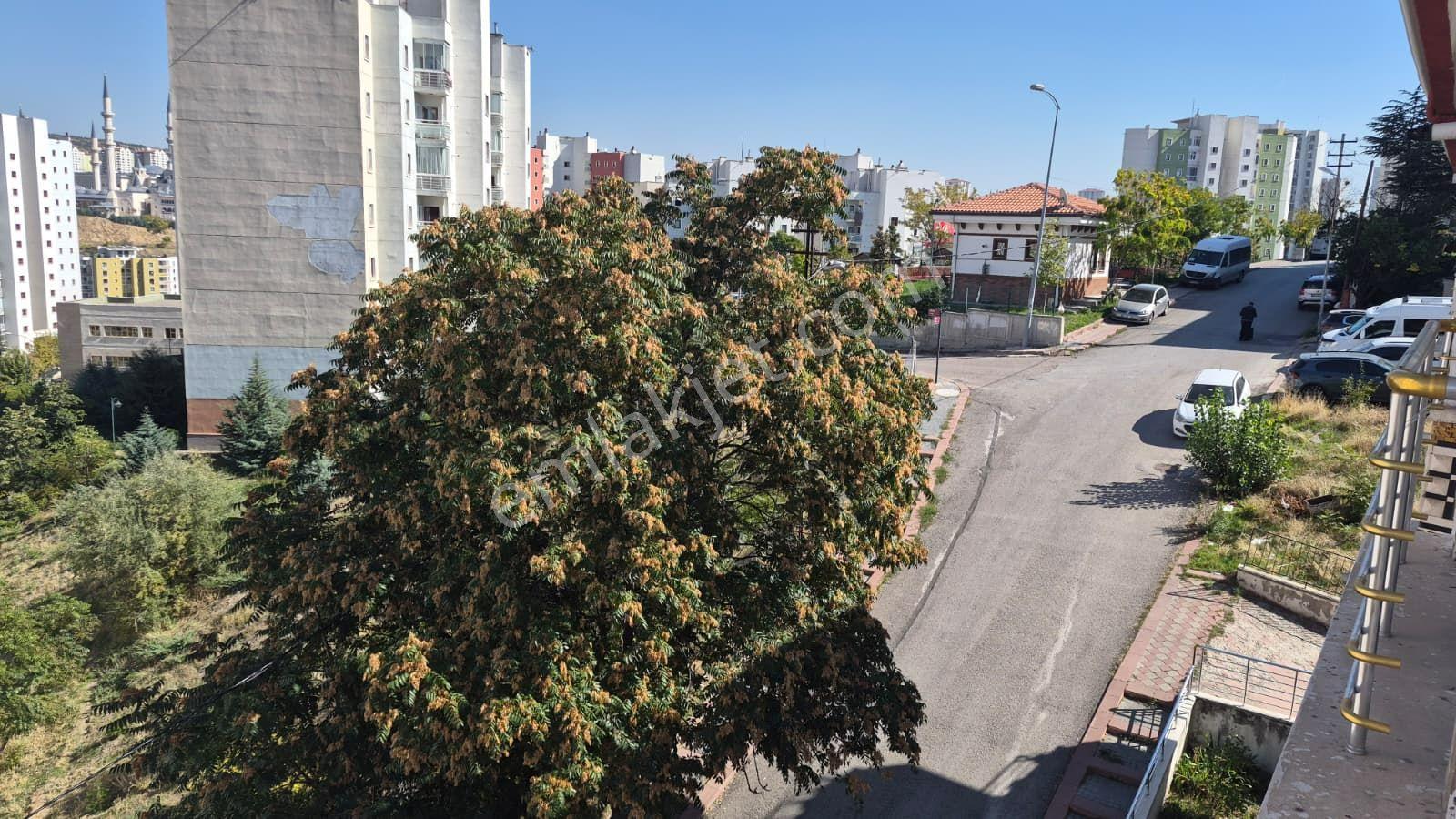 Aktepe Mah. 4+1 Asansörlü Bağımsız Kök Tapulu Fuul Yapılı — fotoğraf 23