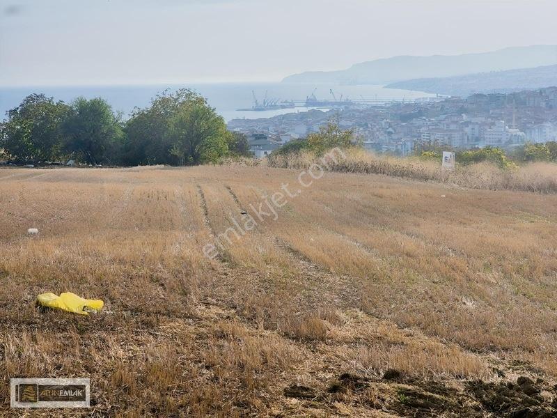 Tekirdağ Süleymanpaşa Gündoğdu'da 3 Kat İmarlı 800 M2 Arsa — fotoğraf 3