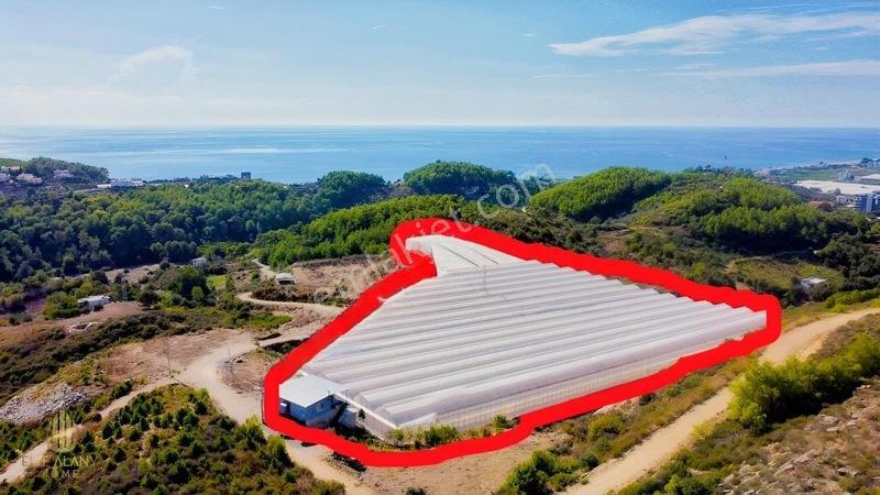 Özel İmara Açık 3 Tarafı Orman Deniz Kale Manzaralı Kapalı Sera — fotoğraf 8