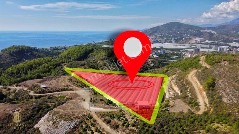 Özel İmara Açık 3 Tarafı Orman Deniz Kale Manzaralı Kapalı Sera — fotoğraf 11