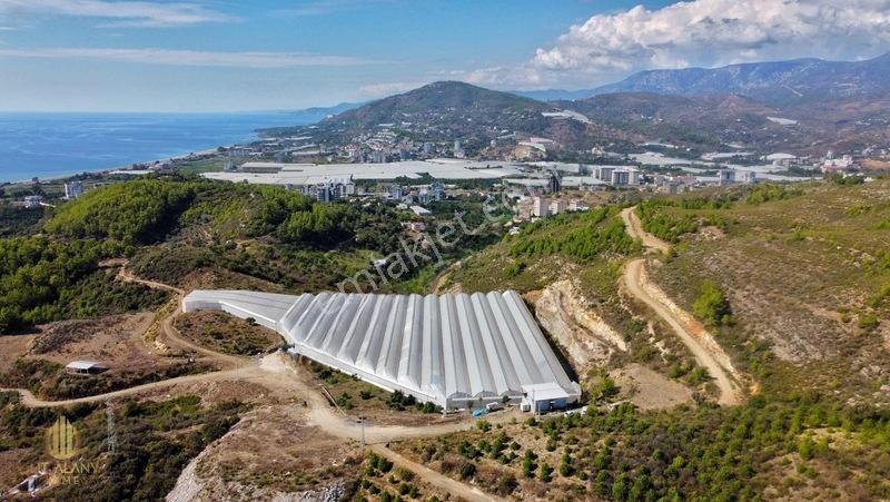 Özel İmara Açık 3 Tarafı Orman Deniz Kale Manzaralı Kapalı Sera — fotoğraf 13