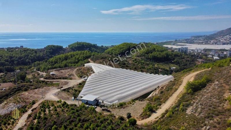 Özel İmara Açık 3 Tarafı Orman Deniz Kale Manzaralı Kapalı Sera — fotoğraf 18