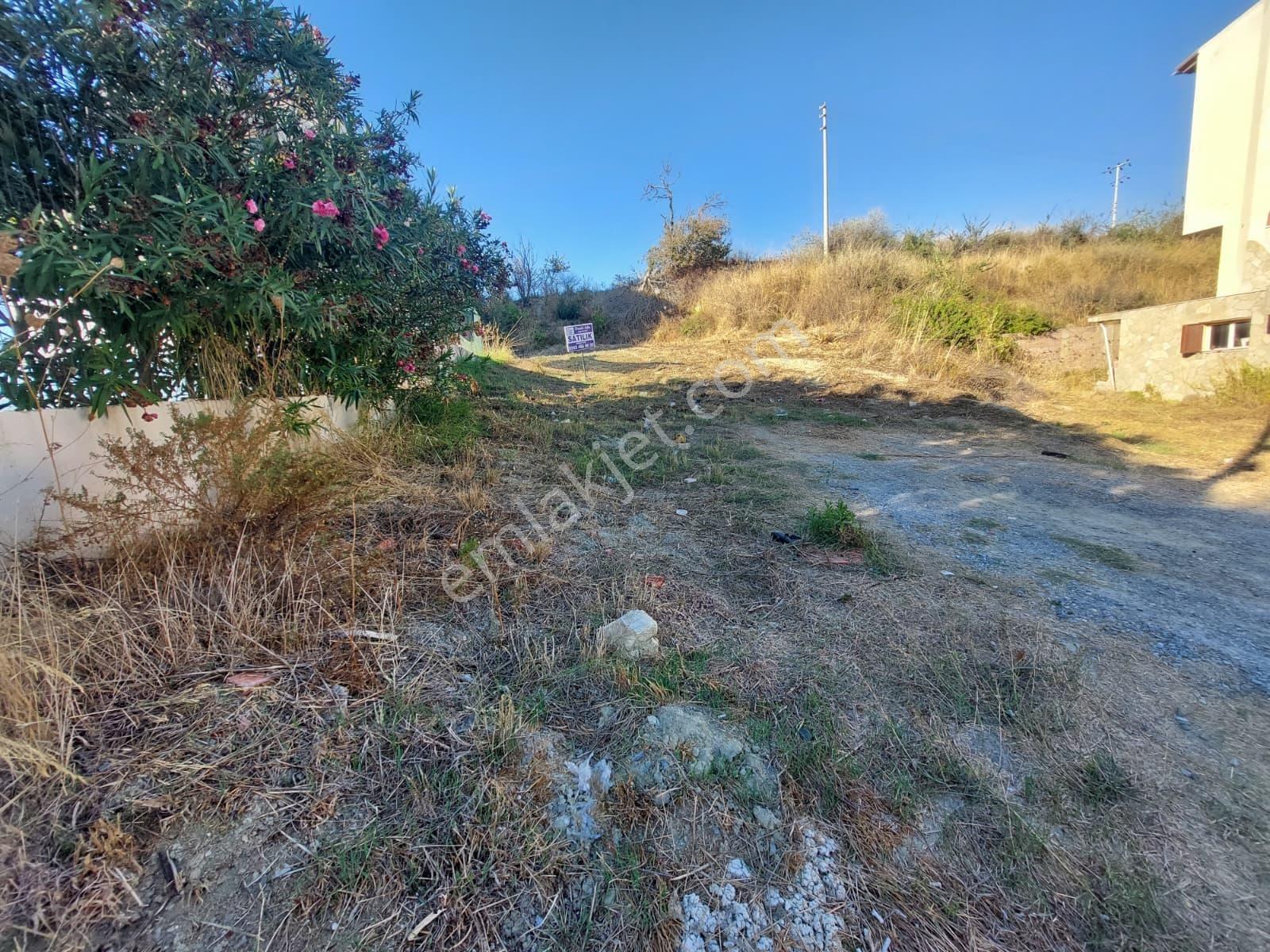 Kuşadası Soğucak'ta Köy İçinde Deniz Manzaralı Satılık Arsa — fotoğraf 14