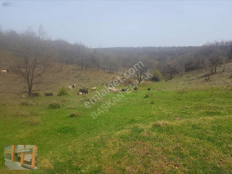 Başkan Emlaktan Satılık Yarımca Köyünde 1.000 M2 Bahçe Yeri — fotoğraf 3