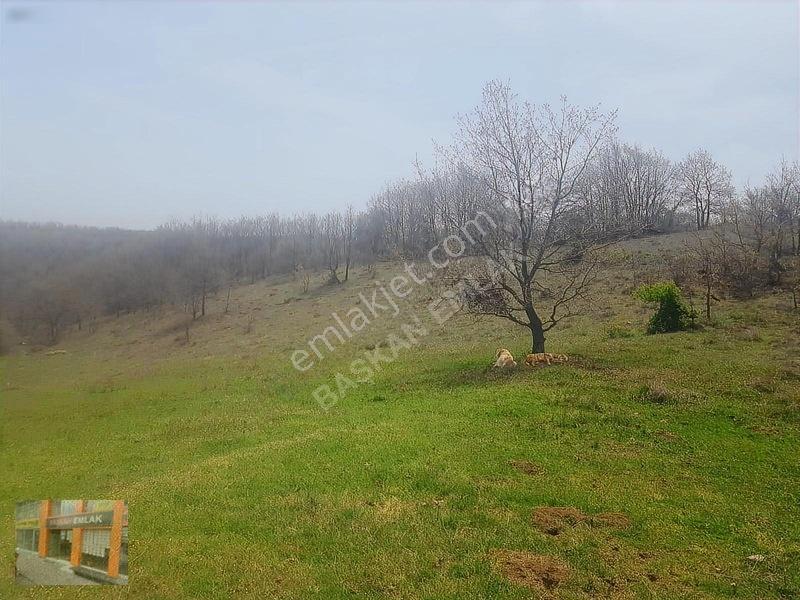 Başkan Emlaktan Satılık Yarımca Köyünde 1.000 M2 Bahçe Yeri — fotoğraf 4