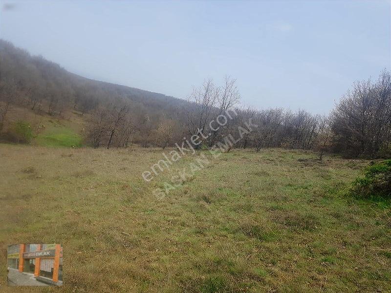 Başkan Emlaktan Satılık Yarımca Köyünde 1.000 M2 Bahçe Yeri — fotoğraf 5