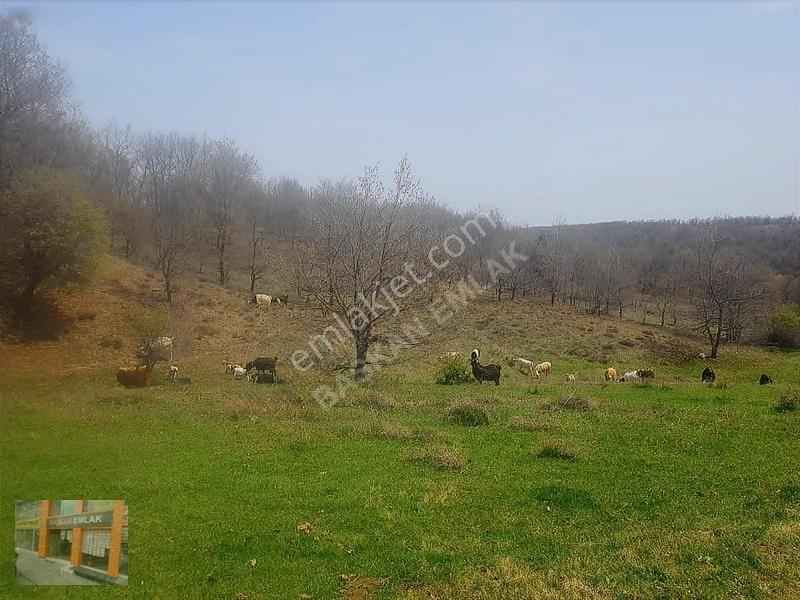 Başkan Emlaktan Satılık Yarımca Köyünde 1.000 M2 Bahçe Yeri — fotoğraf 6